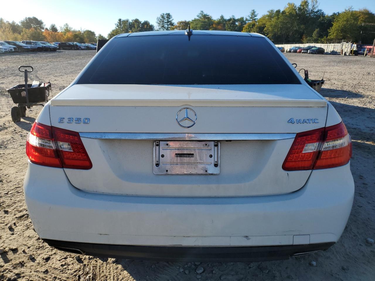 2010 Mercedes-Benz E 350 4Matic VIN: WDDHF8HB8AA215830 Lot: 75743734