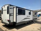 2019 SALEM TRAVEL TRA for sale at Copart TX - DALLAS SOUTH