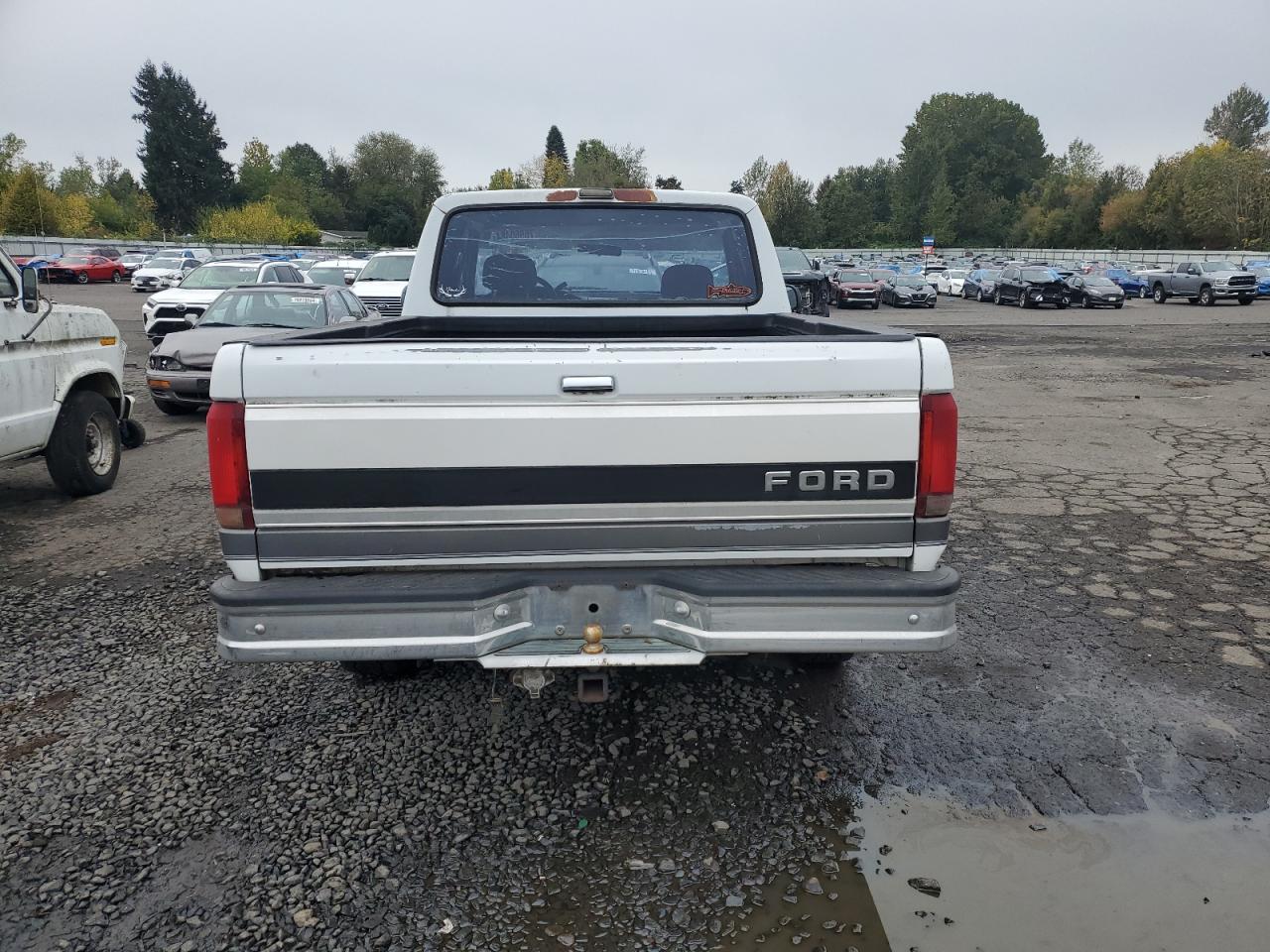 1993 Ford F150 VIN: 1FTEX14N2PKB45522 Lot: 76960484