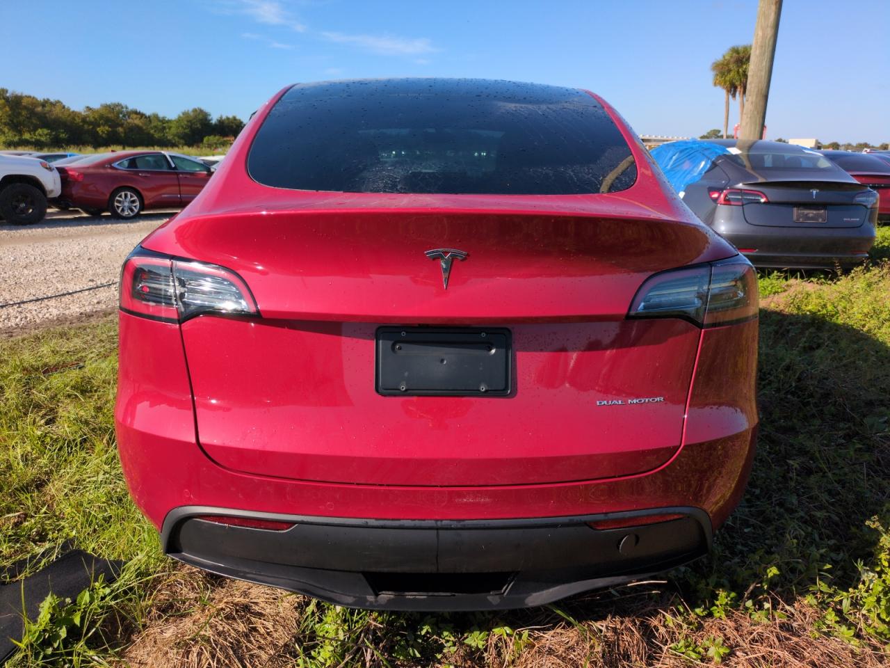 2022 Tesla Model Y VIN: 7SAYGAEE1NF538081 Lot: 74967184