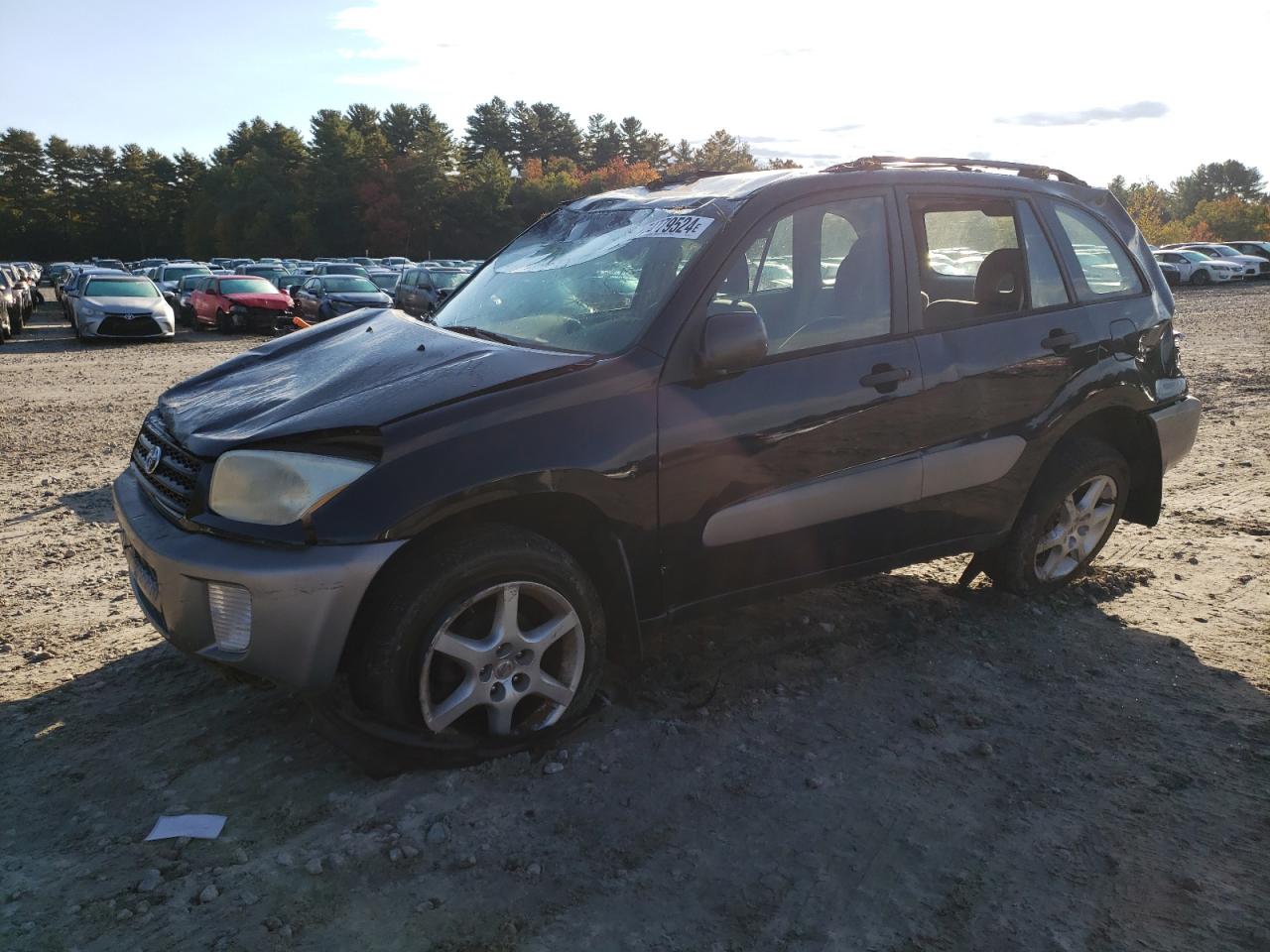 2002 Toyota Rav4 VIN: JTEHH20V526068941 Lot: 74779524