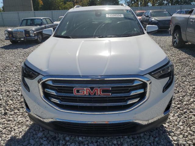 3GKALVEVXML331517 GMC Terrain SL 5