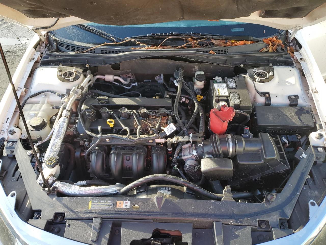 2010 Ford Fusion Se VIN: 3FAHP0HA2AR349504 Lot: 77646754