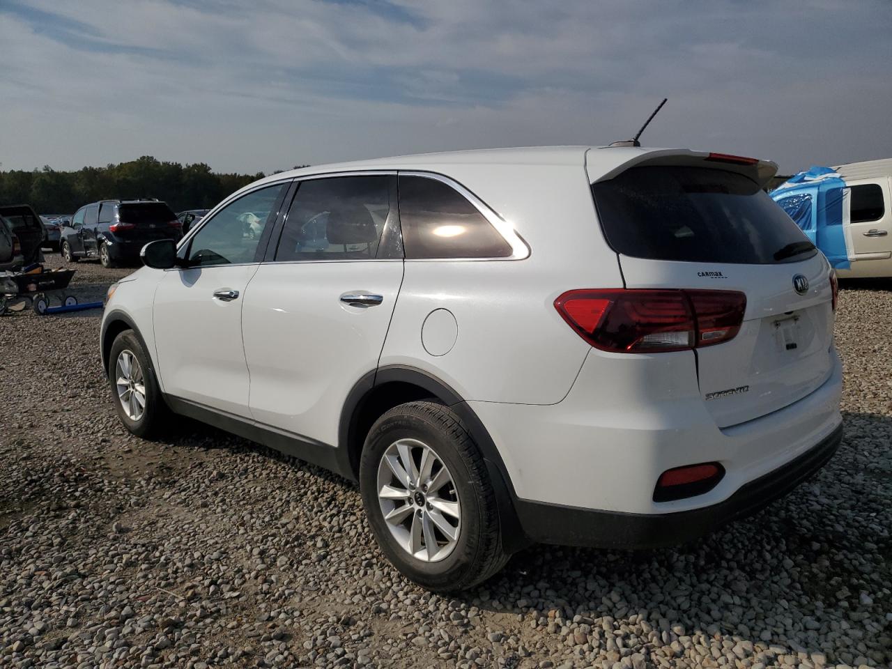 2019 Kia Sorento L VIN: 5XYPG4A33KG564698 Lot: 77778614