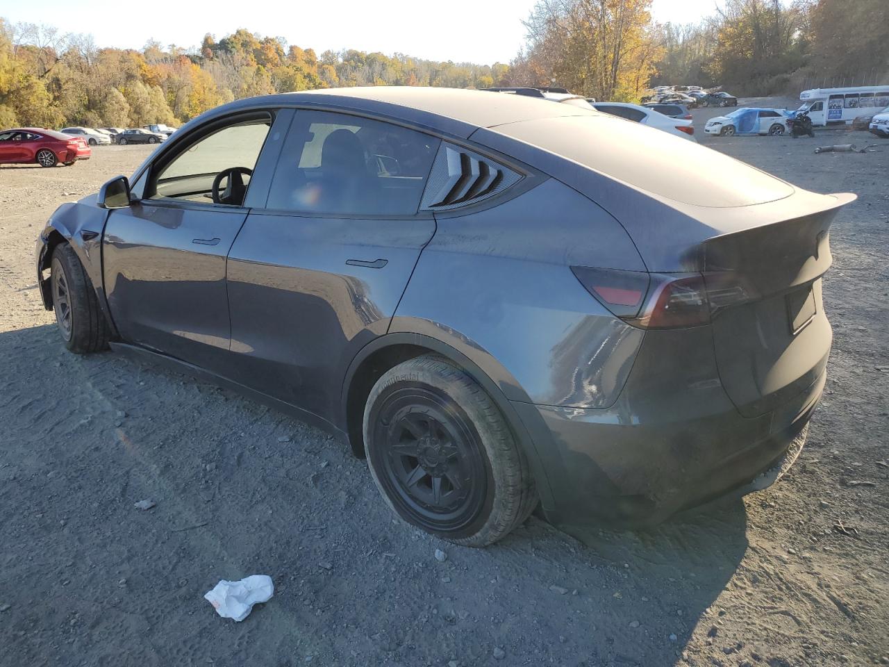 2023 Tesla Model Y VIN: 7SAYGAEE5PF856790 Lot: 77349224