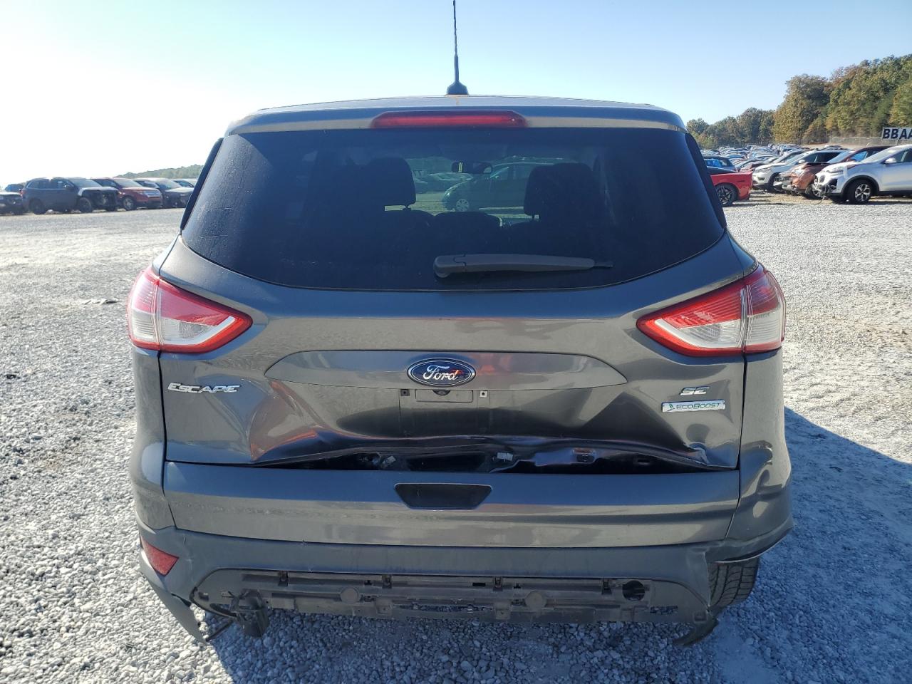 2014 Ford Escape Se VIN: 1FMCU0GXXEUD25836 Lot: 77618454