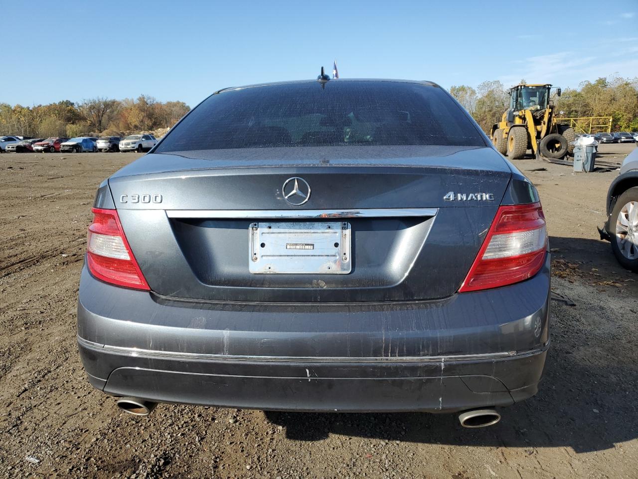 2009 Mercedes-Benz C 300 4Matic VIN: WDDGF81X19R064196 Lot: 76356624