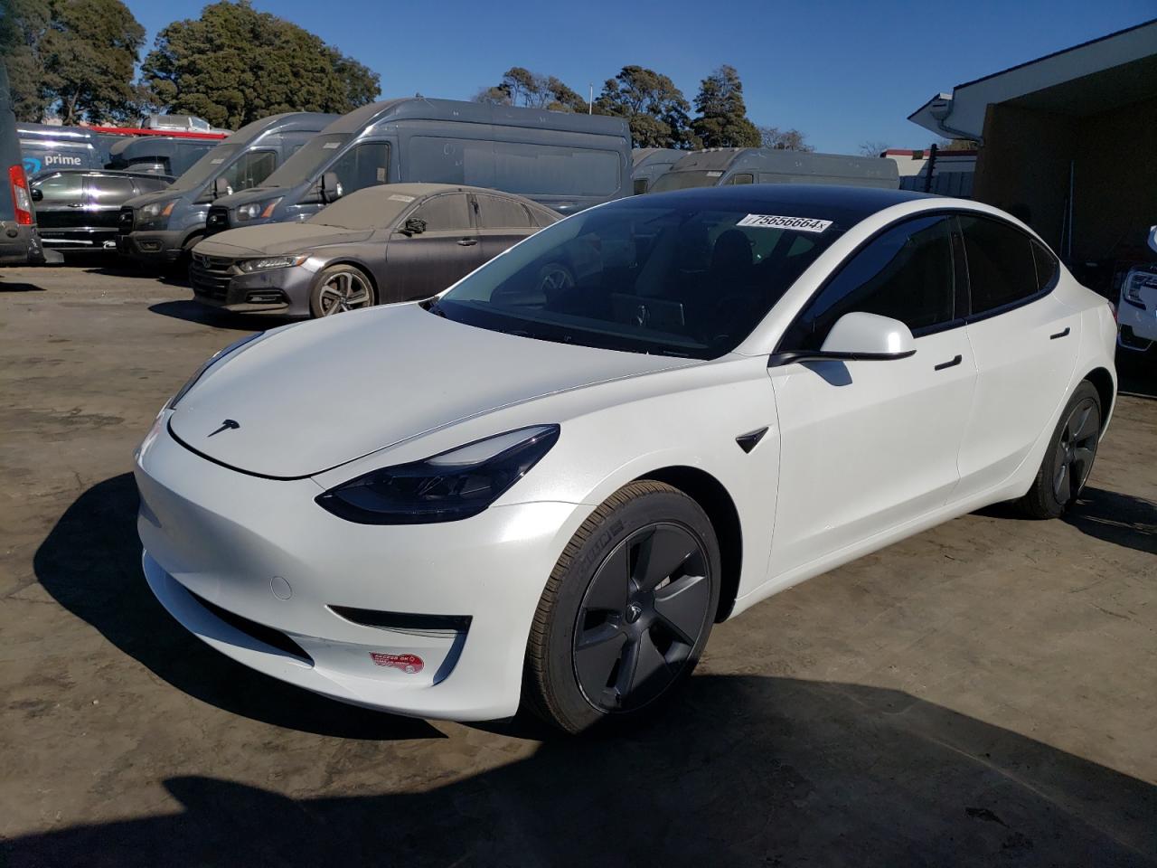 5YJ3E1EA9PF575280 2023 TESLA MODEL 3 - Image 1