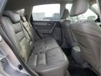 2008 Honda Cr-V Exl იყიდება Brookhaven-ში, NY - Front End