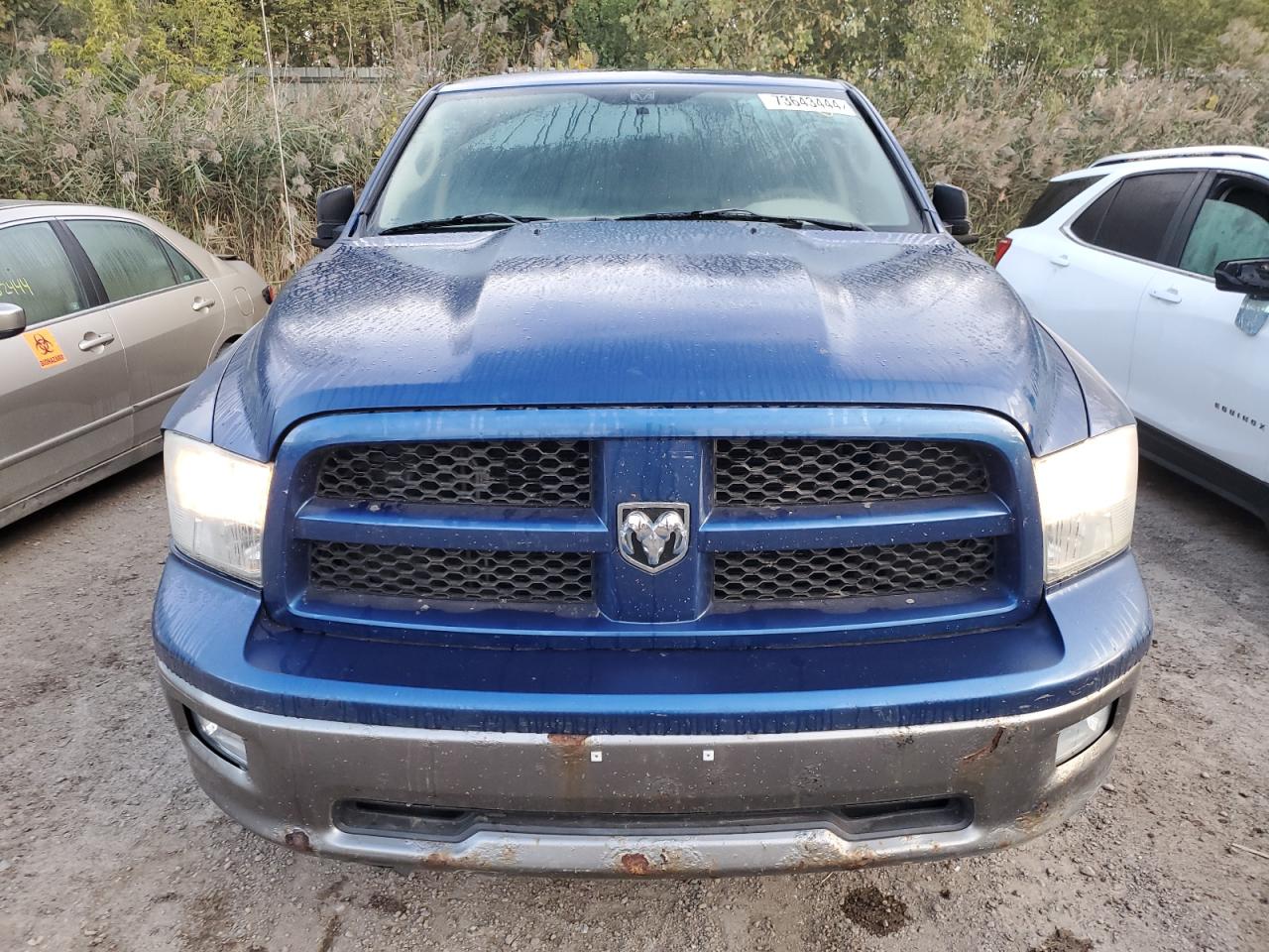 2010 Dodge Ram 1500 VIN: 1D7RV1GT9AS208064 Lot: 73643444