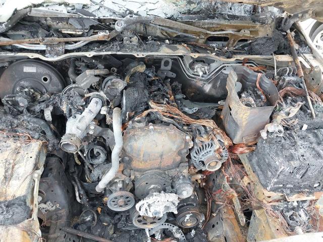 2022 FORD RANGER PICK UP DOUBLE CAB WILDTRAK 2.0 ECOBLUE 213 AUTO