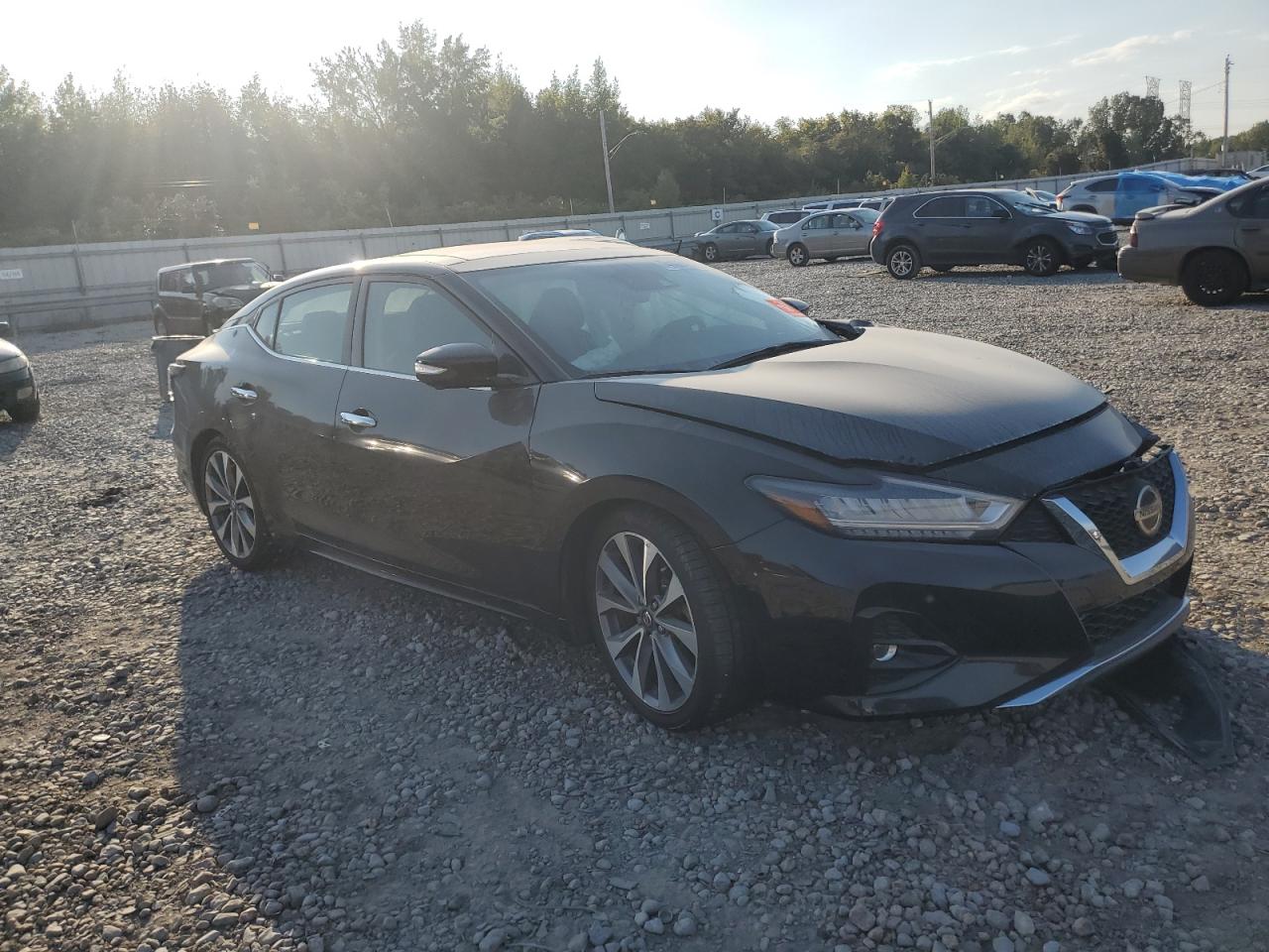 1N4AA6AV8KC384583 2019 Nissan Maxima S