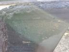 1986 Four Winns Boat for Sale in Elgin, IL - Burn