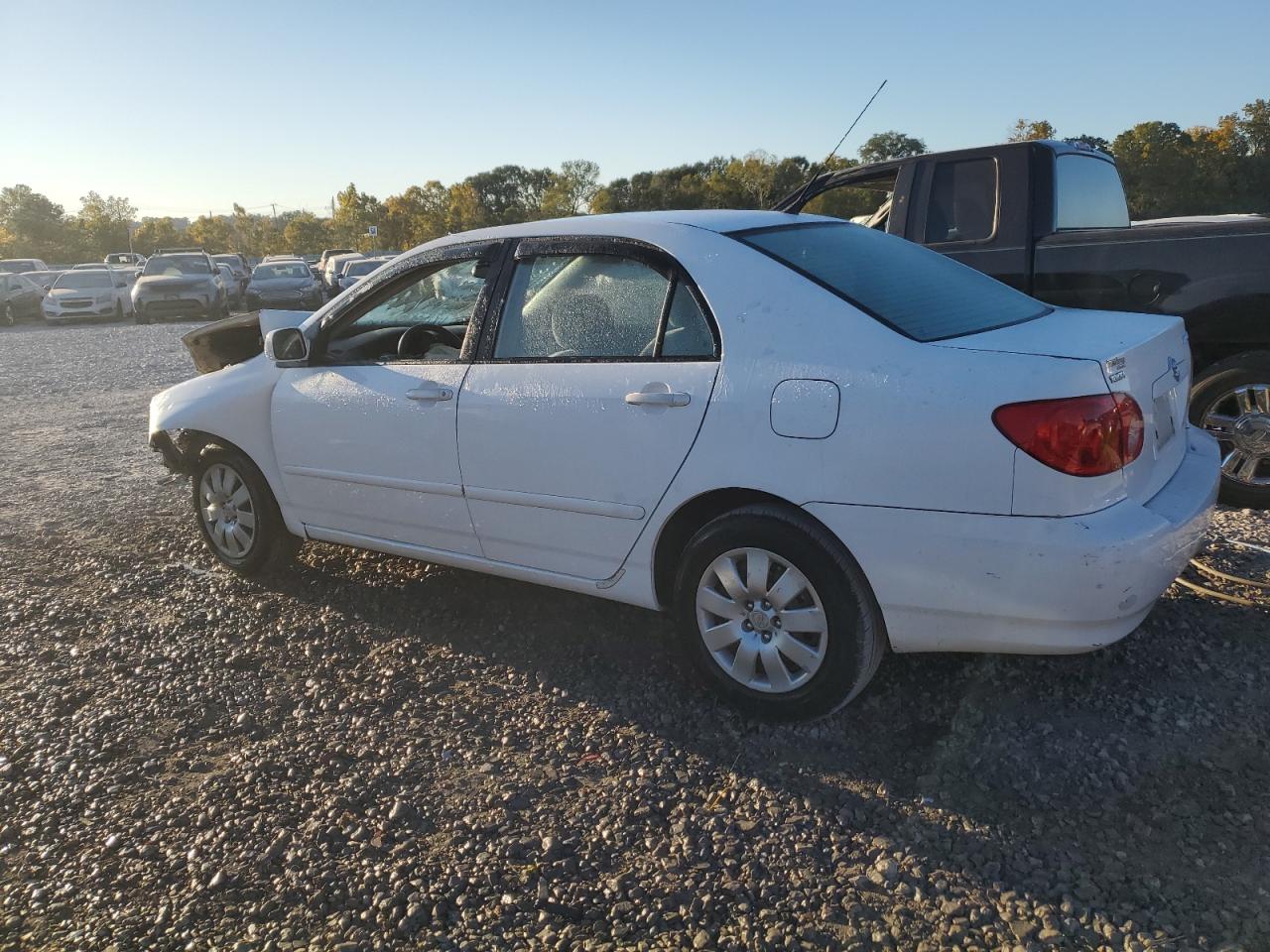 2004 Toyota Corolla Ce VIN: 2T1BR38E24C252599 Lot: 76789244