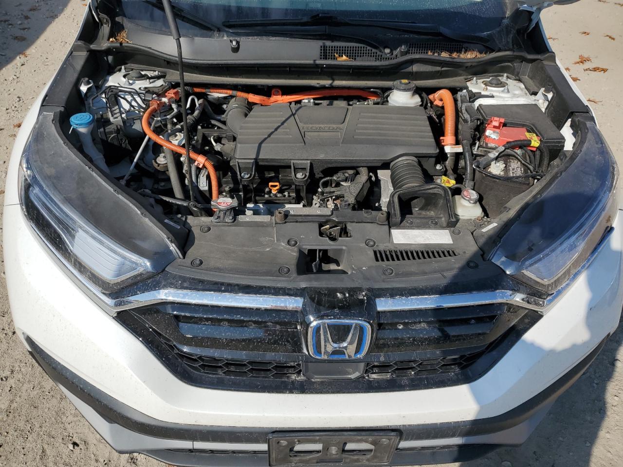 2021 Honda Cr-V Exl VIN: 7FART6H87ME029230 Lot: 77367894