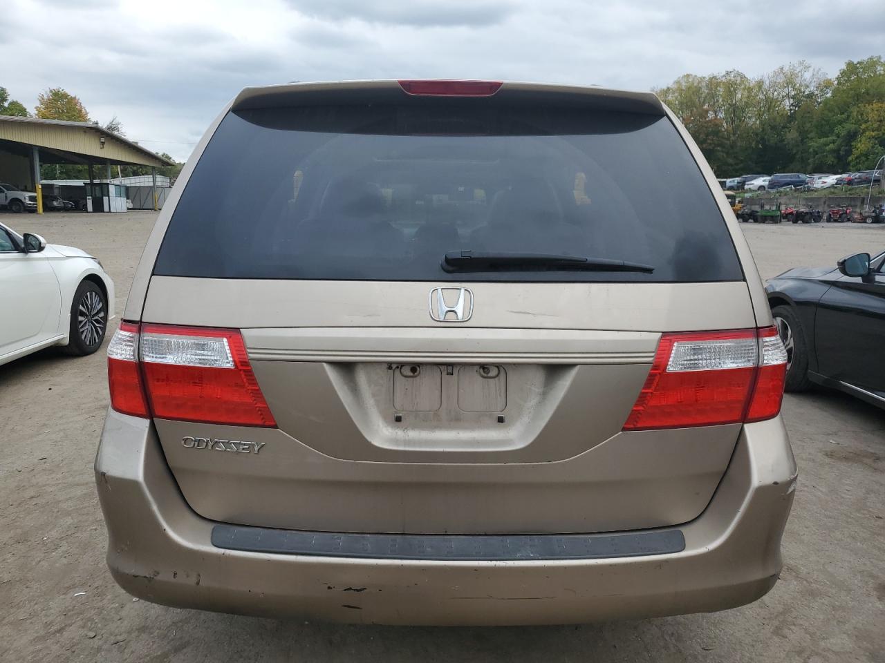 2007 Honda Odyssey Exl VIN: 5FNRL38767B401355 Lot: 74283464