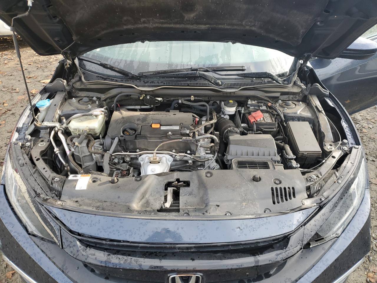 2019 Honda Civic Lx VIN: 19XFC2F62KE213924 Lot: 77992484