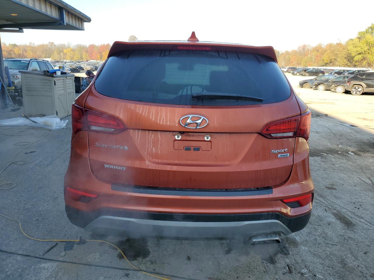 2017 Hyundai Santa Fe Sport VIN: 5XYZTDLB4HG498678 Lot: 76664104