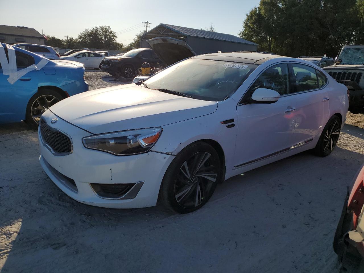 2016 Kia Cadenza Luxury VIN: KNALN4D7XG5214453 Lot: 76491514