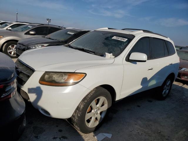 2007 Hyundai Santa Fe Se