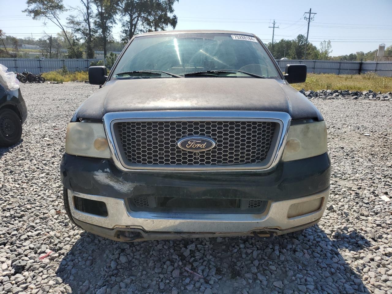 2004 Ford F-150 - Image 5