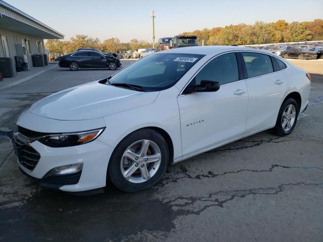  CHEVROLET MALIBU 2023 White