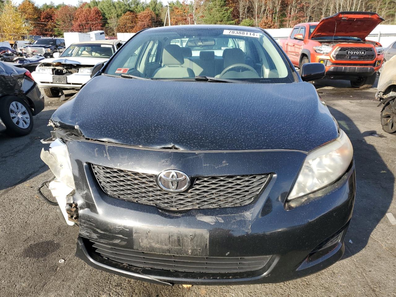 2010 Toyota Corolla - Image 5