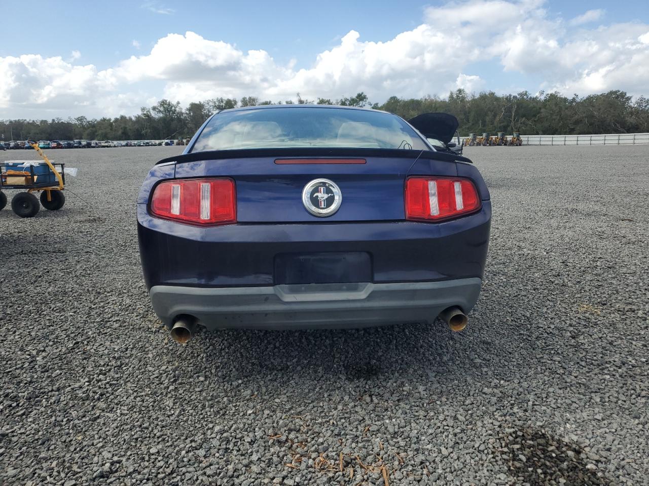 2011 Ford Mustang VIN: 1ZVBP8AM9B5156707 Lot: 77068714