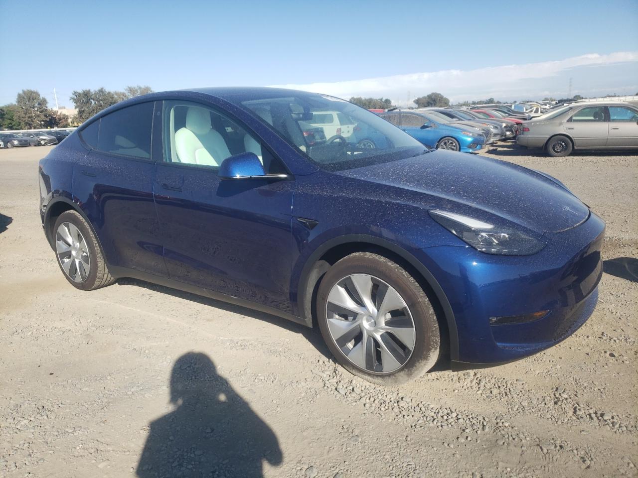 2023 Tesla Model Y VIN: 7SAYGDEE6PF672119 Lot: 75914074