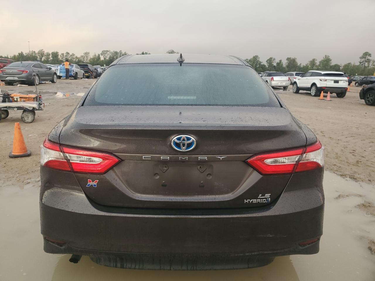 4T1B31HK6KU006680 2019 Toyota Camry Le