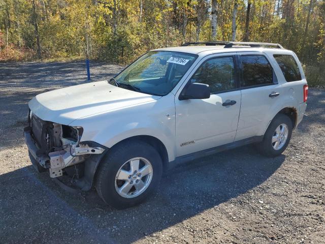 2008 Ford Escape Xlt