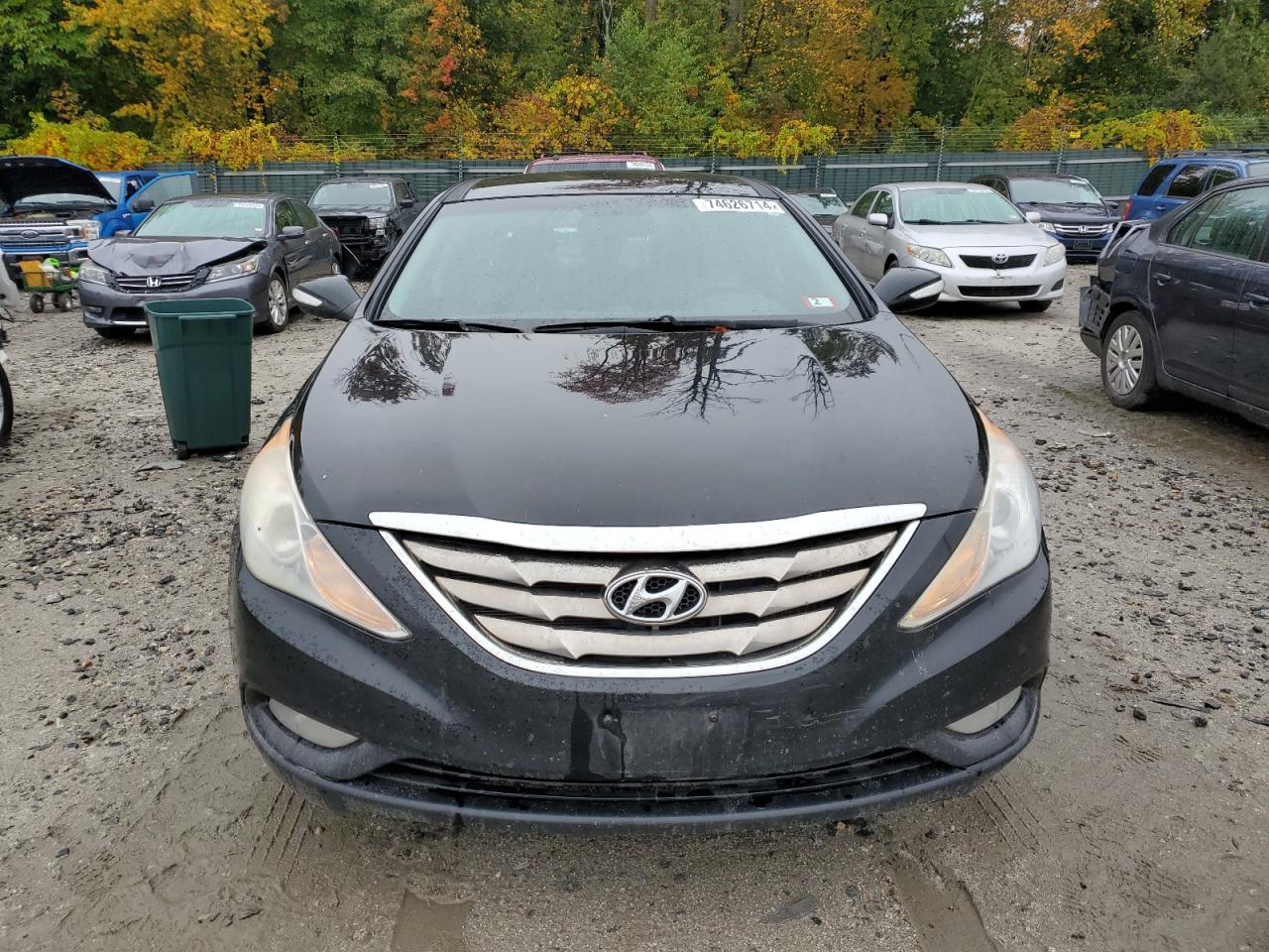 5NPEC4AB6DH541647 2013 Hyundai Sonata Se