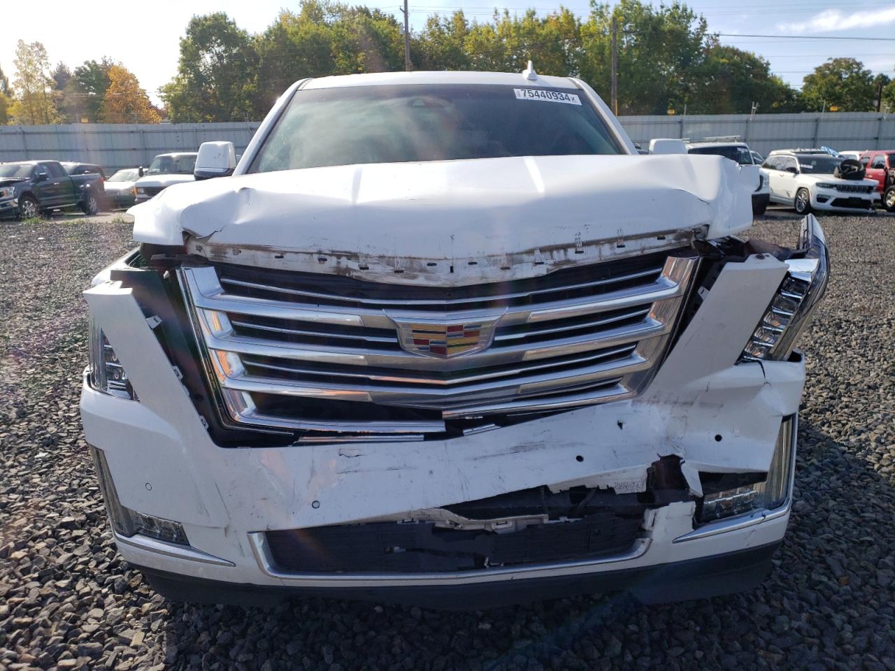 VIN 1GYS4JKJ4KR282810 2019 CADILLAC ESCALADE no.5