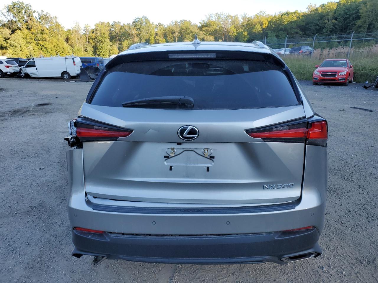 2020 Lexus Nx 300 VIN: JTJDARDZ9L2234574 Lot: 75156084