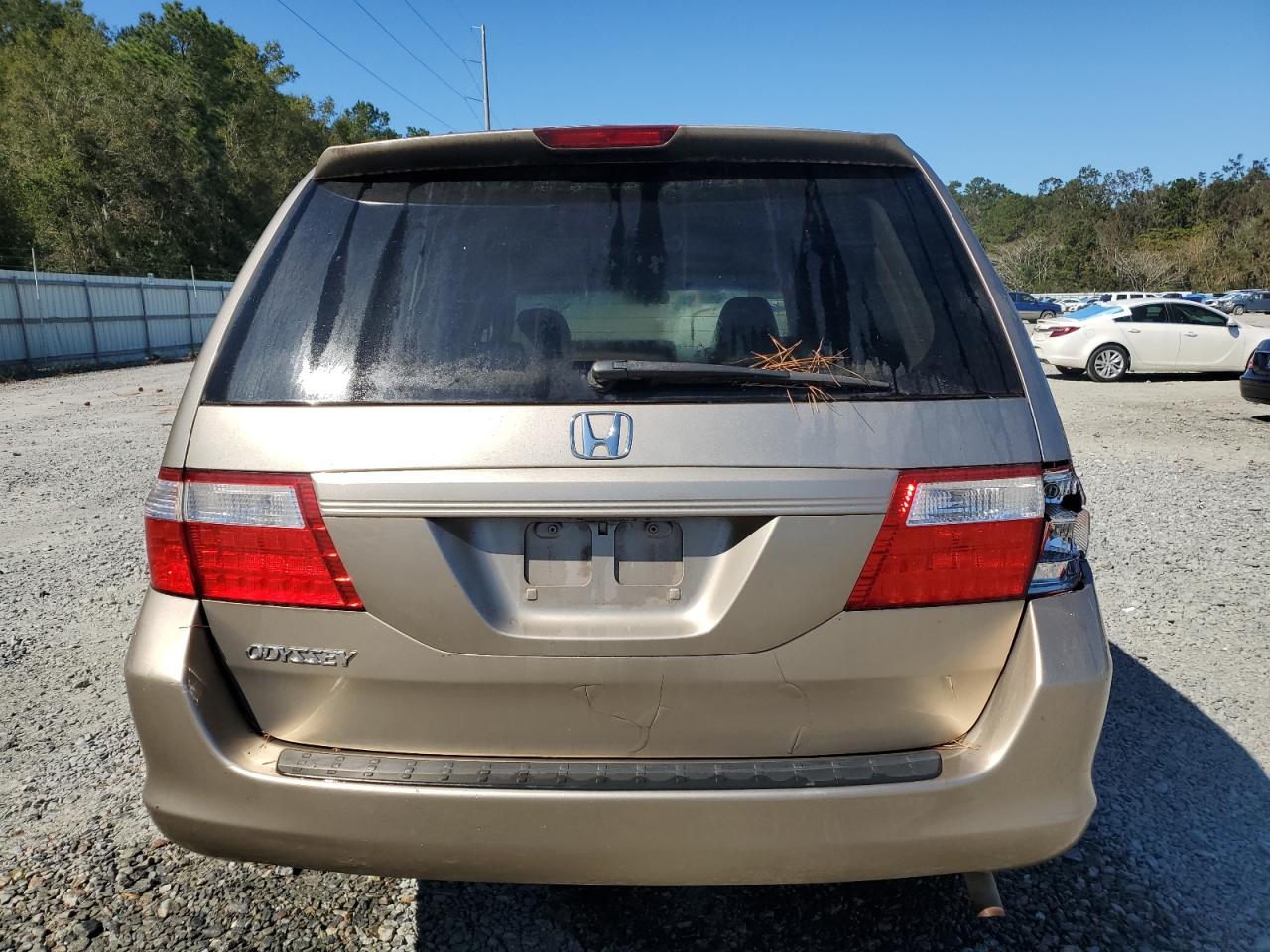 2007 Honda Odyssey Exl VIN: 5FNRL38747B107968 Lot: 76716304