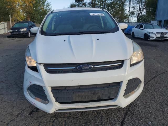  FORD ESCAPE 2015 Белый