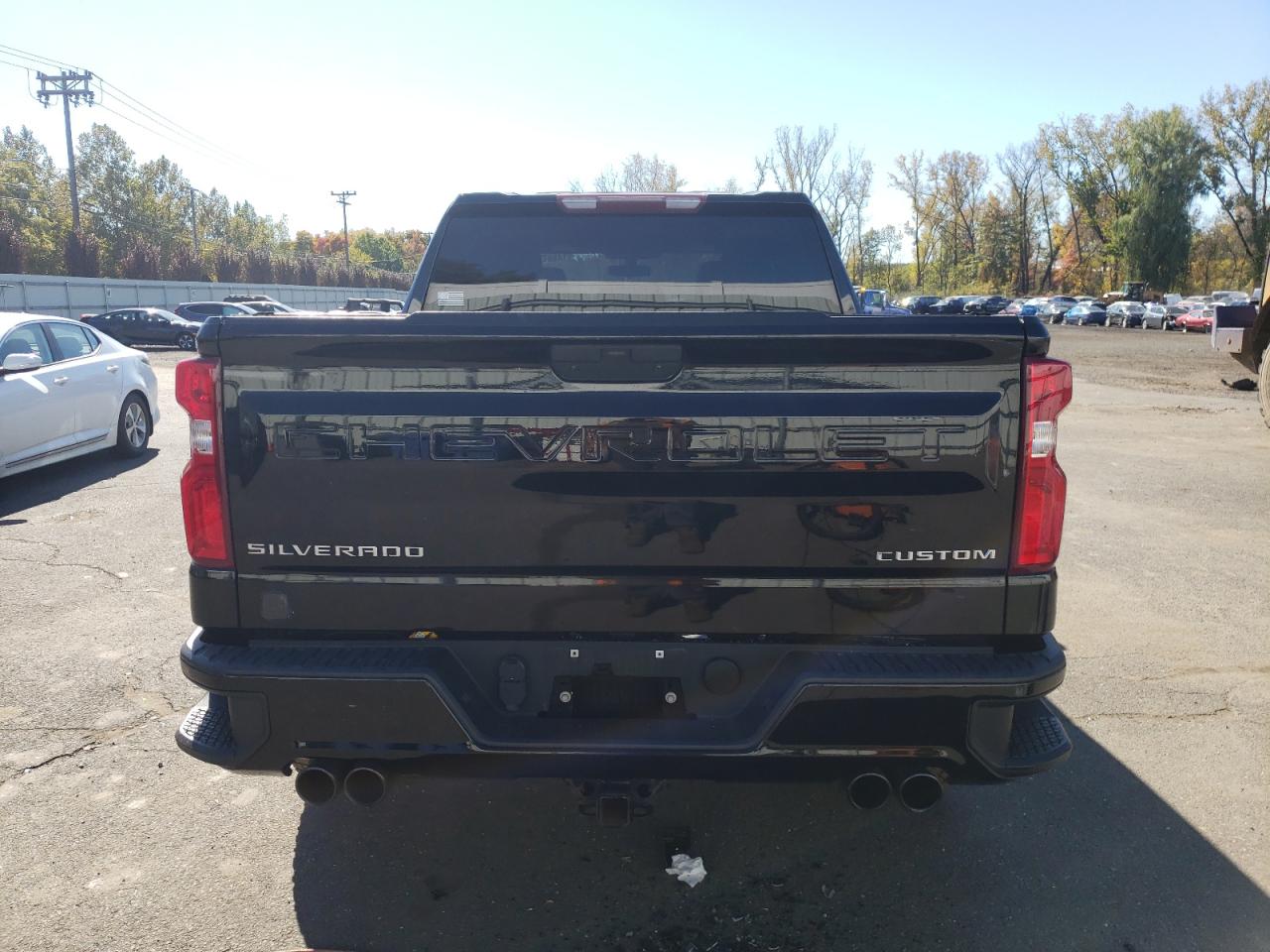 1GCPYCEF9KZ410560 2019 Chevrolet Silverado K1500 Trail Boss Custom