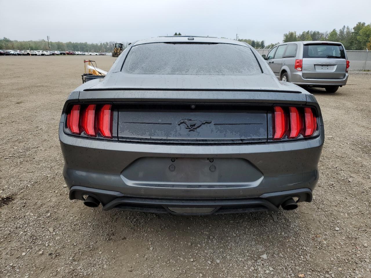 2019 Ford Mustang VIN: 1FA6P8TH3K5177367 Lot: 73734474