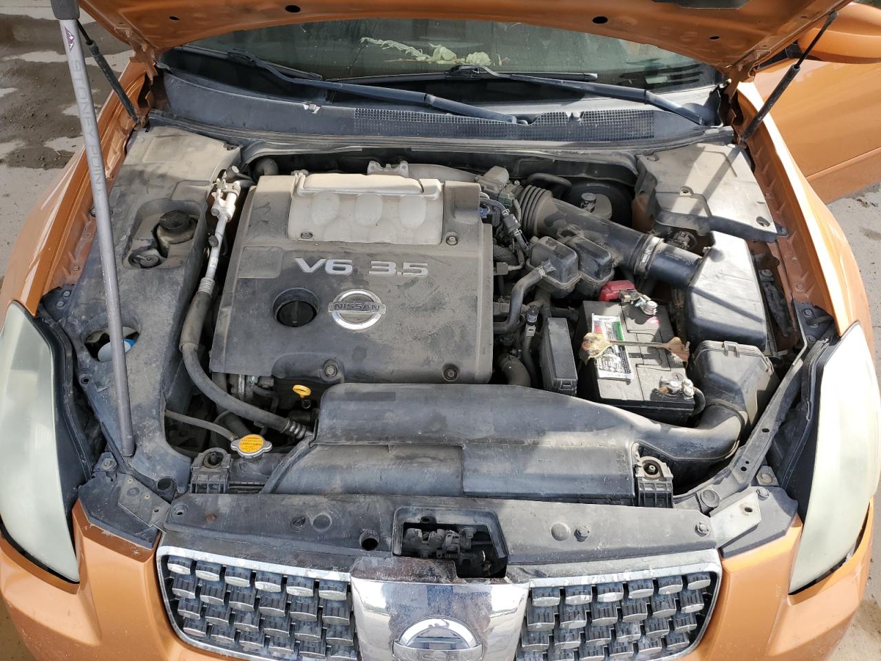 1N4BA41E84C823020 2004 Nissan Maxima Se