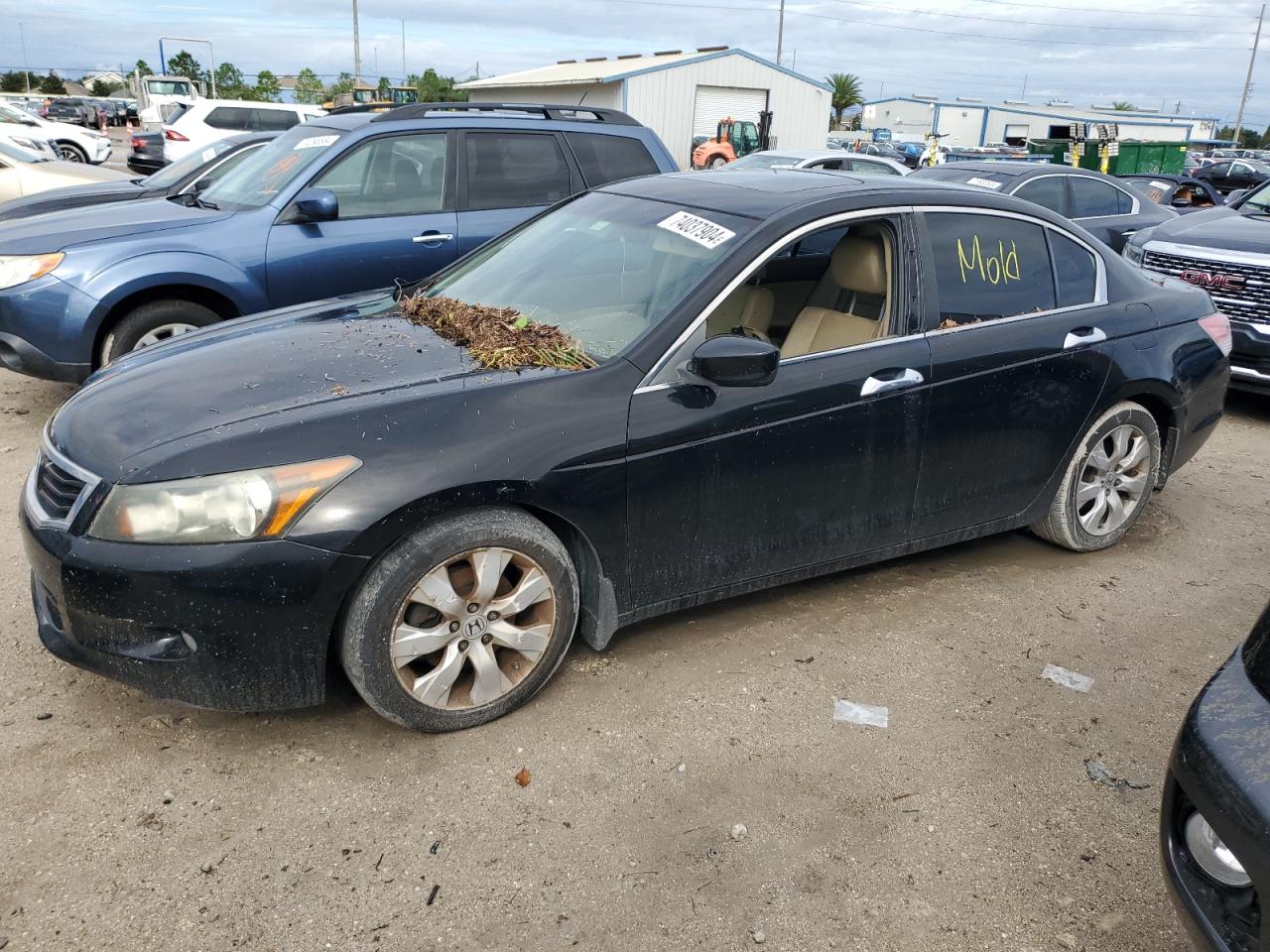 2010 Honda Accord - Image 1