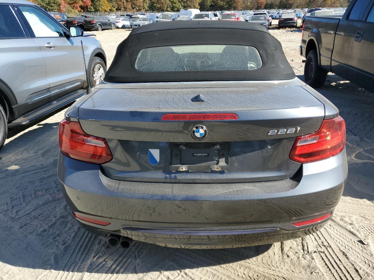 2016 BMW 228 Xi Sulev VIN: WBA1L9C55GV324854 Lot: 77359674