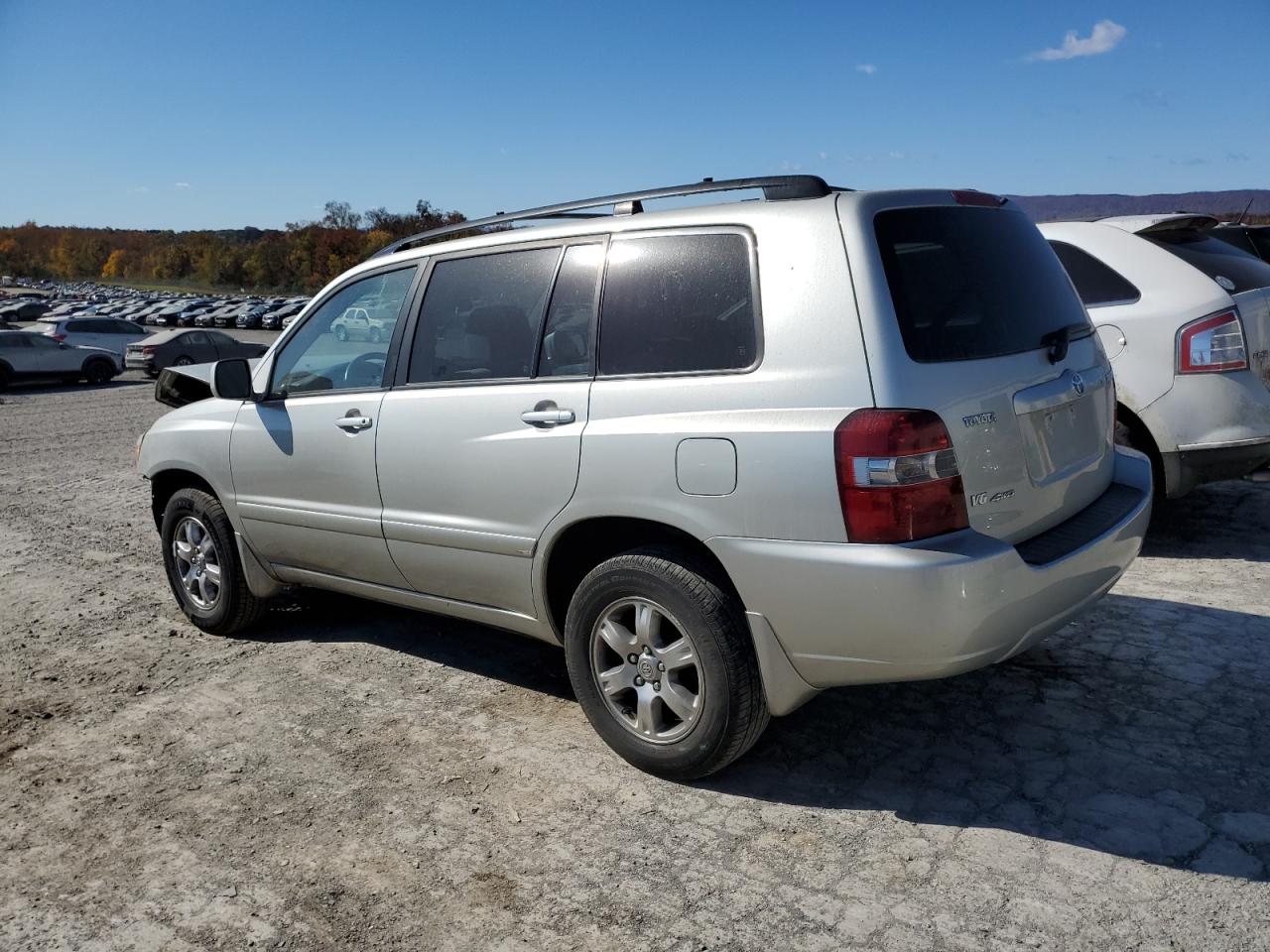 2004 Toyota Highlander VIN: JTEEP21A140035653 Lot: 76687184