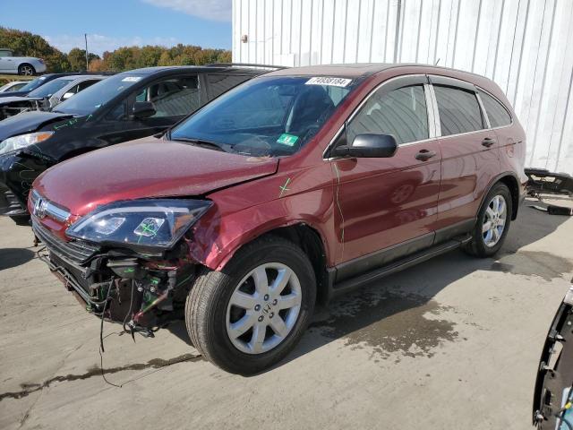 2009 Honda Cr-V Ex продається в Windsor, NJ - Front End