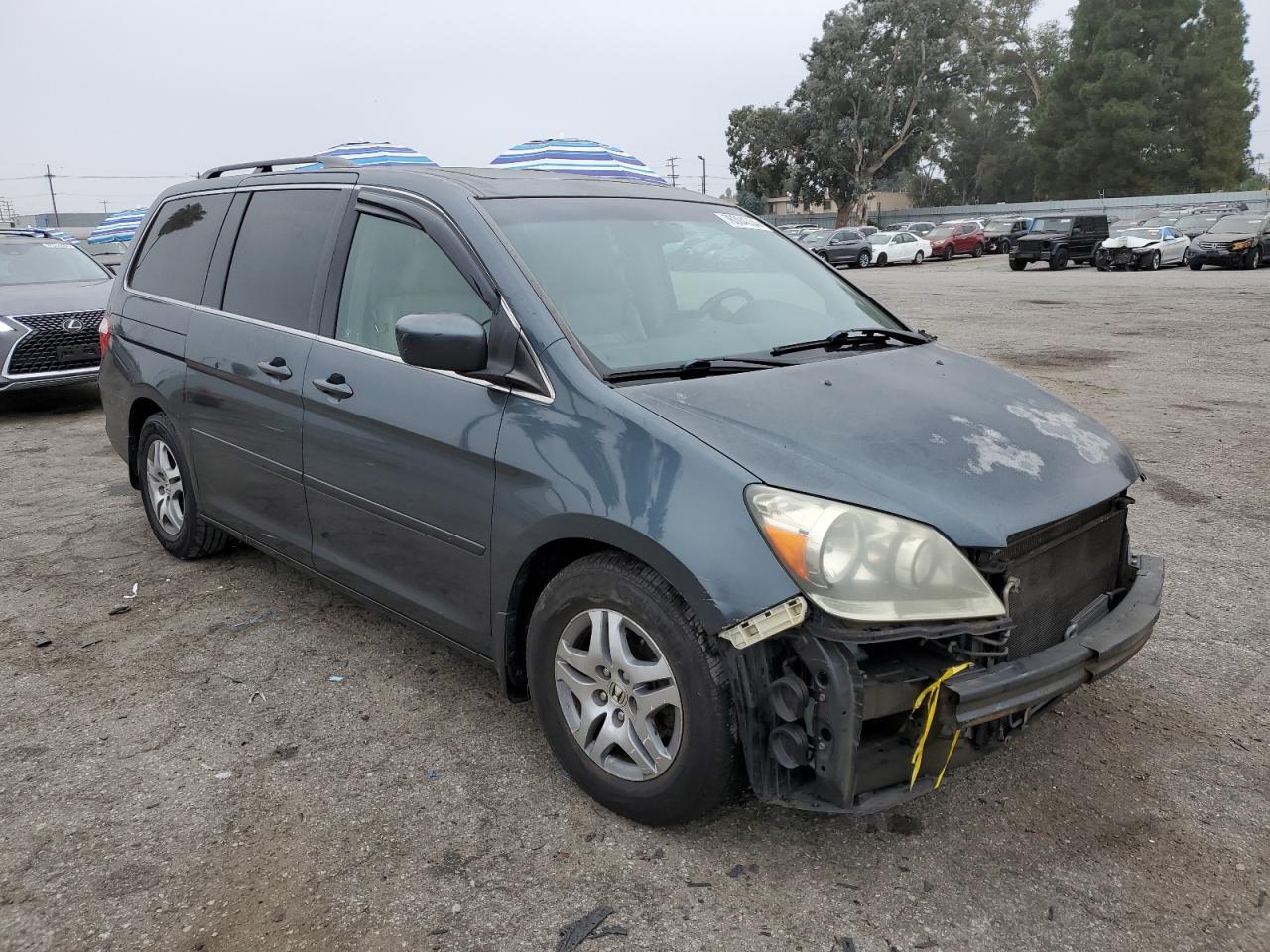 2006 Honda Odyssey Exl VIN: 5FNRL386X6B434722 Lot: 76304334