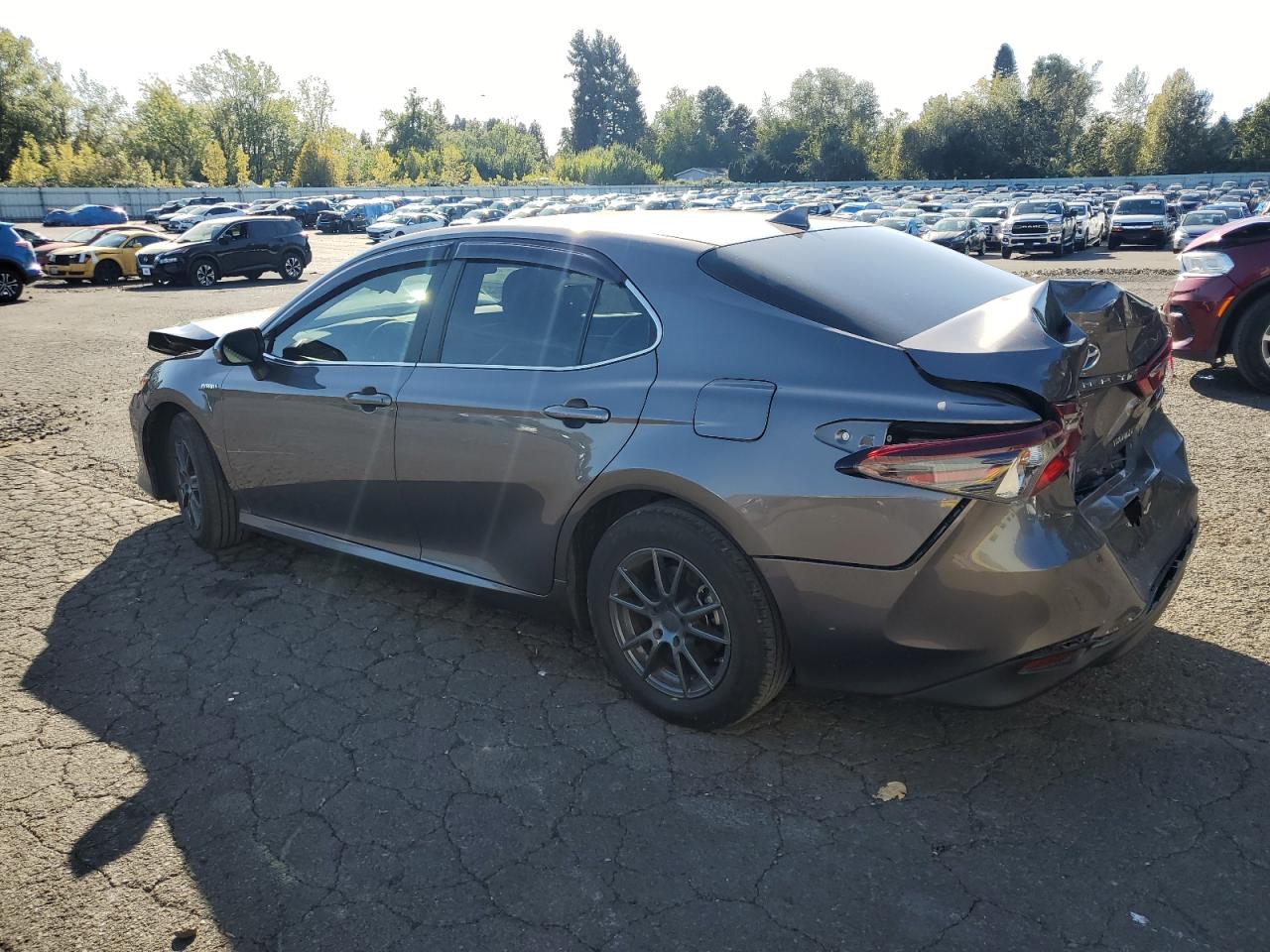 2021 Toyota Camry - Image 2