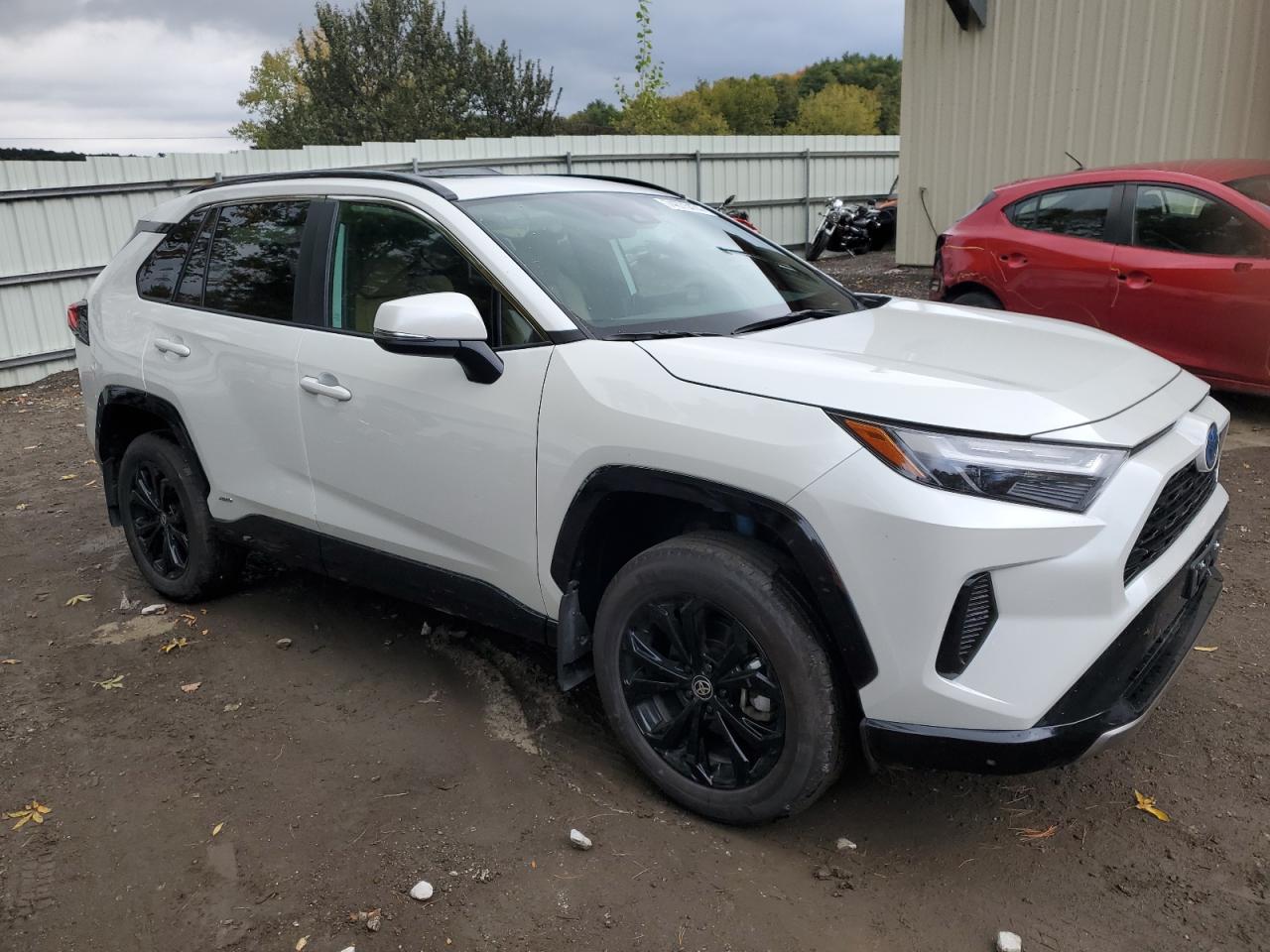 2024 Toyota RAV 4 - Image 4