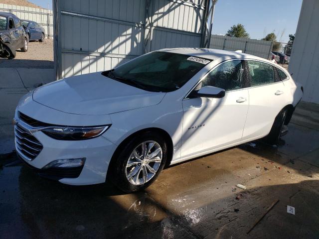  CHEVROLET MALIBU 2024 White