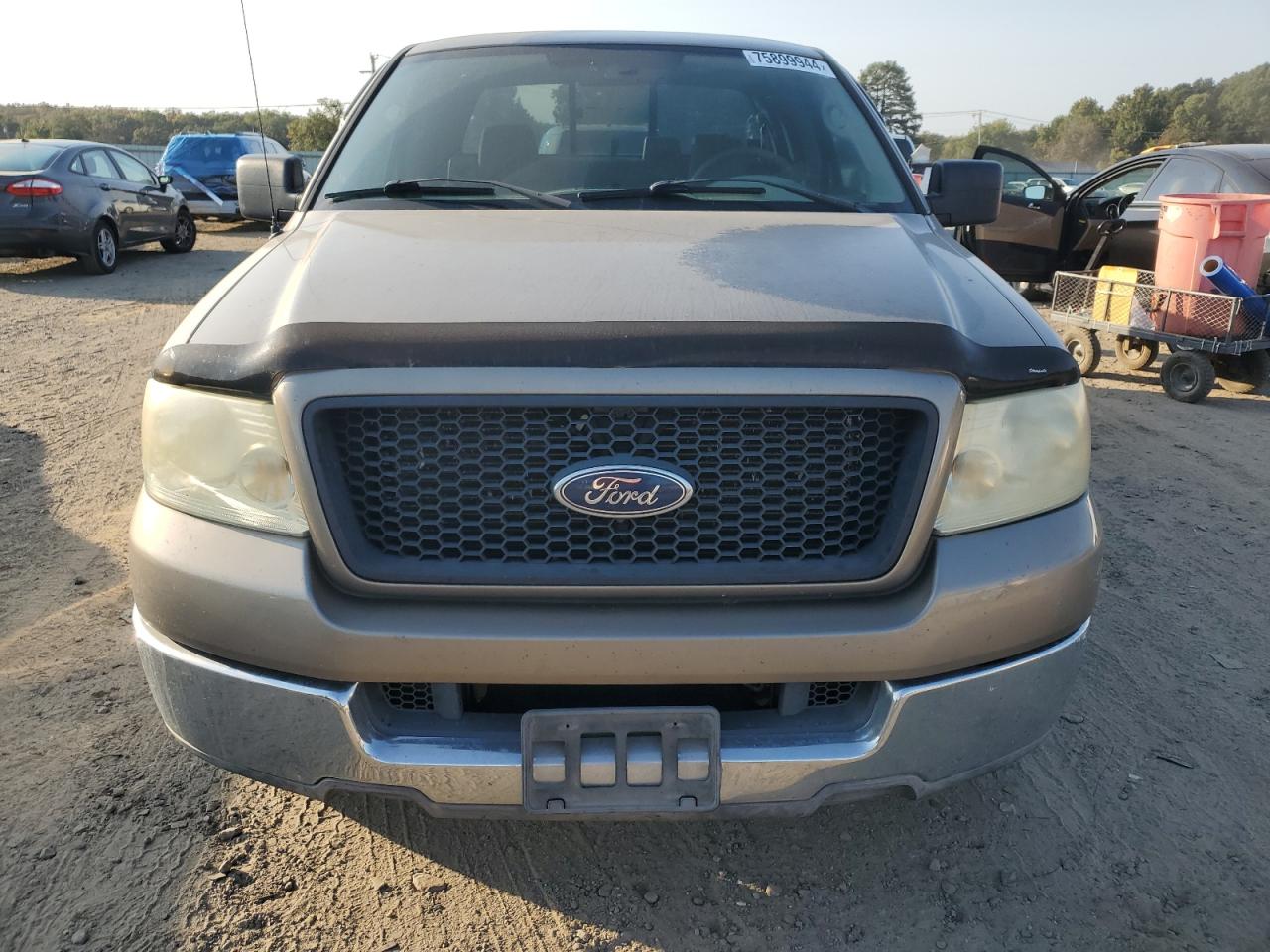 2004 Ford F150 VIN: 1FTPX12594NA29806 Lot: 75899944