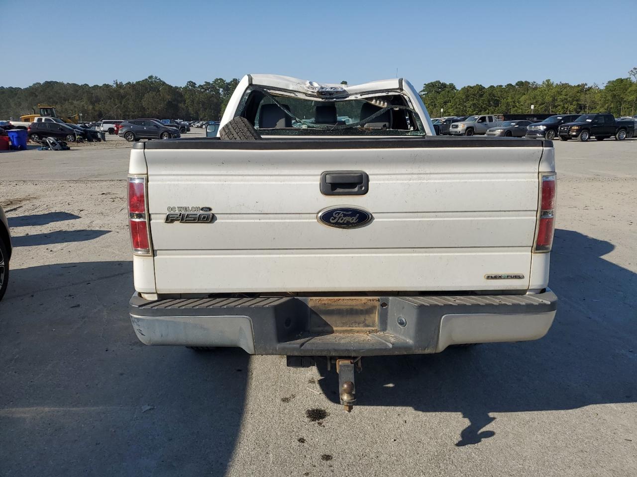 2013 Ford F150 VIN: 1FTMF1CM5DFB05981 Lot: 76115004