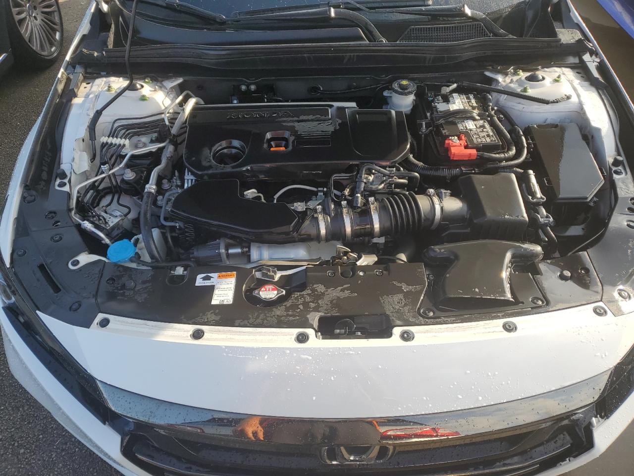 2021 Honda Accord Sport VIN: 1HGCV2F32MA007643 Lot: 75911674